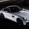 Mercedes-Benz AMG GT Black Bison of Wald International Unveiled