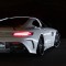 Mercedes-Benz AMG GT Black Bison of Wald International Unveiled